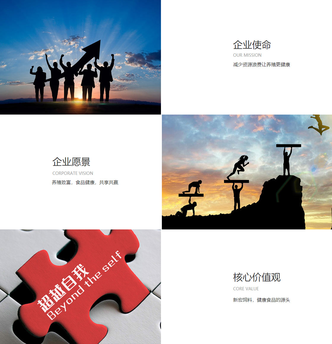 博鱼app体育官方正版下载(图1)